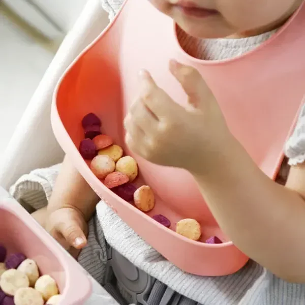 Silikon Food Grade, Set piring - Baby Food Lunch ulasan dan harga